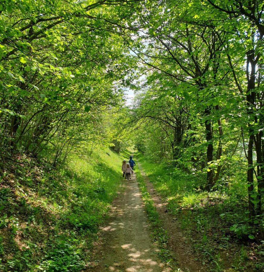 Rhoenstyle Fladungen Buitenkant foto
